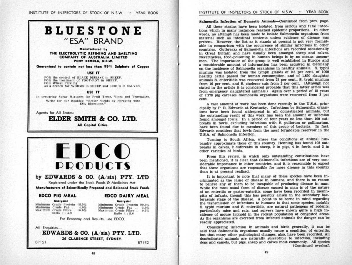1941 Page 48 49